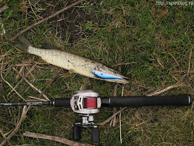 Aiko Me Shallows minnow