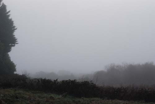 [nebel.JPG]