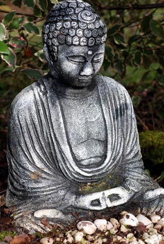 [Buddha_180209.jpg]