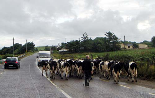 [Rushhour_Ireland_xs.jpg]