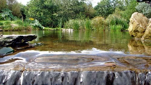 [Wasserfall_Dave_xs.jpg]