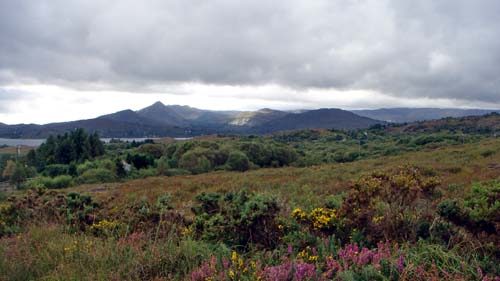 [Unsere_Straße_xs.jpg]