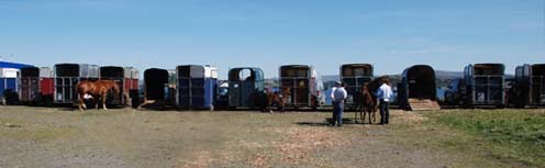 [Pferdeautos_xs.jpg]