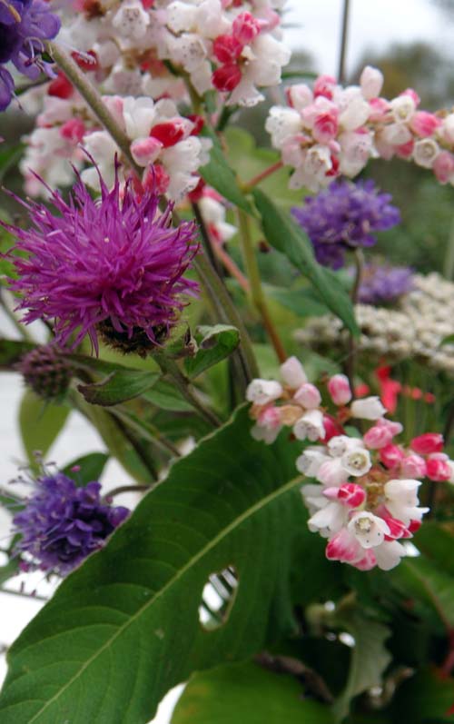 [Herbstblumenvase_xs.jpg]