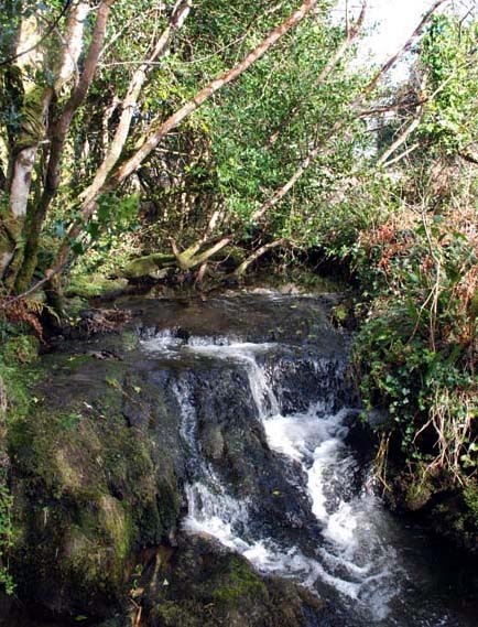 [Wasserfall_beiuns_xs.jpg]