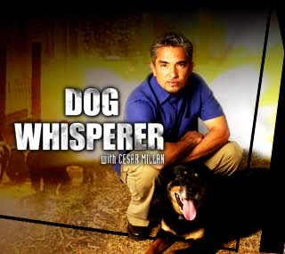 [dog+whisperer.jpg]