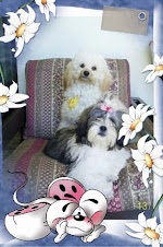 Spike e  Nelly