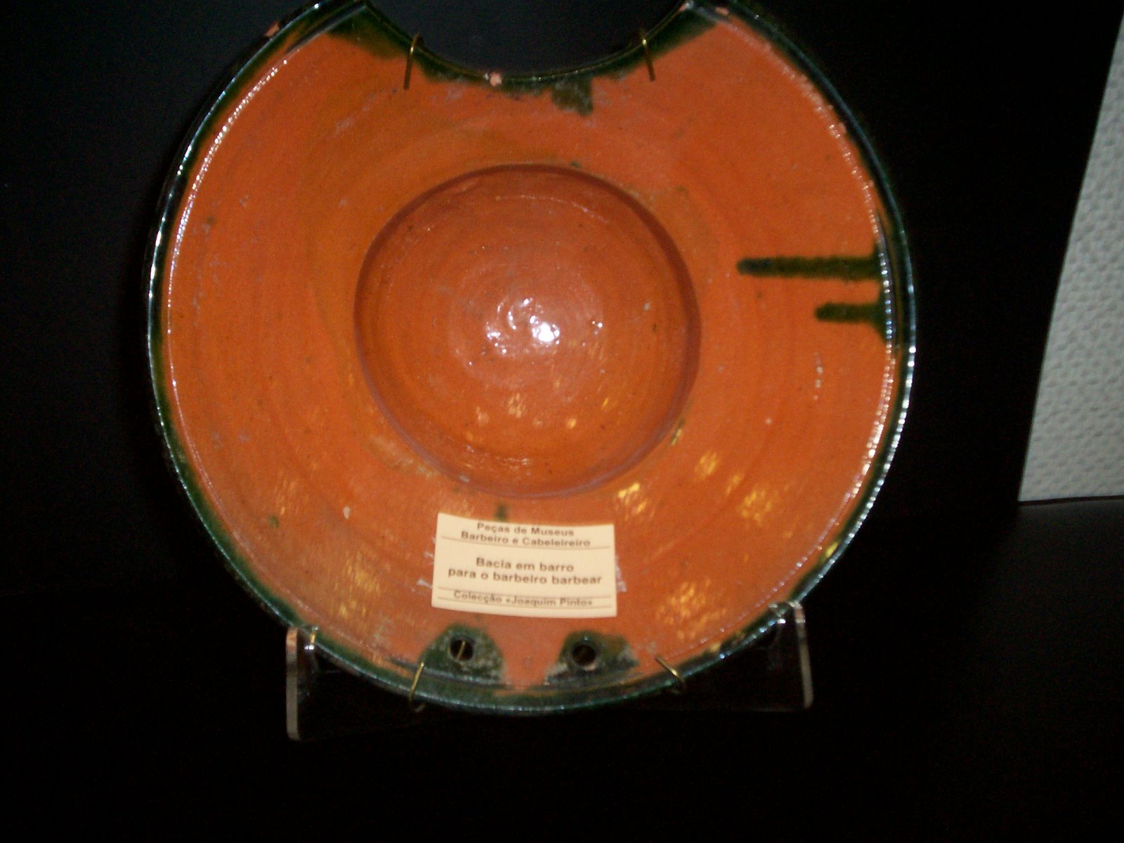 [100_0829.JPG]