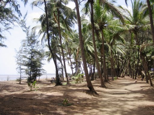 Arnala Beach Resort Address Arnala Beach Resort Address