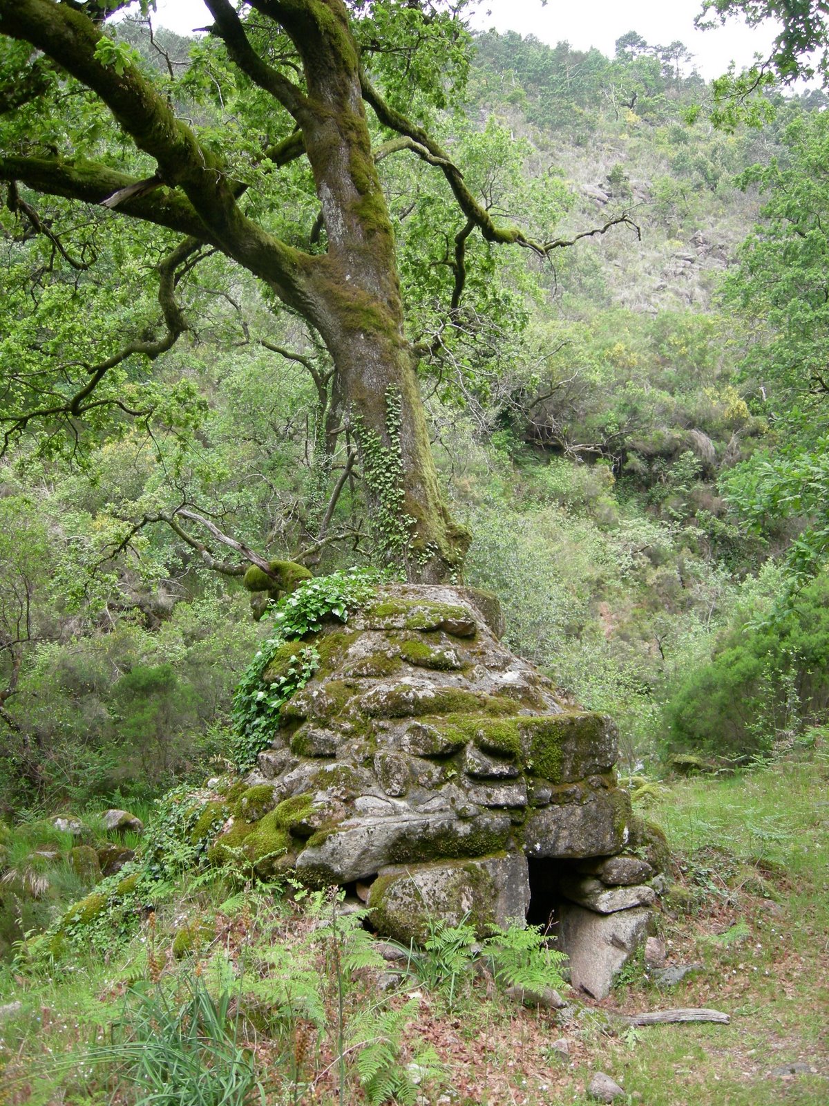 [DSCN0340.JPG]