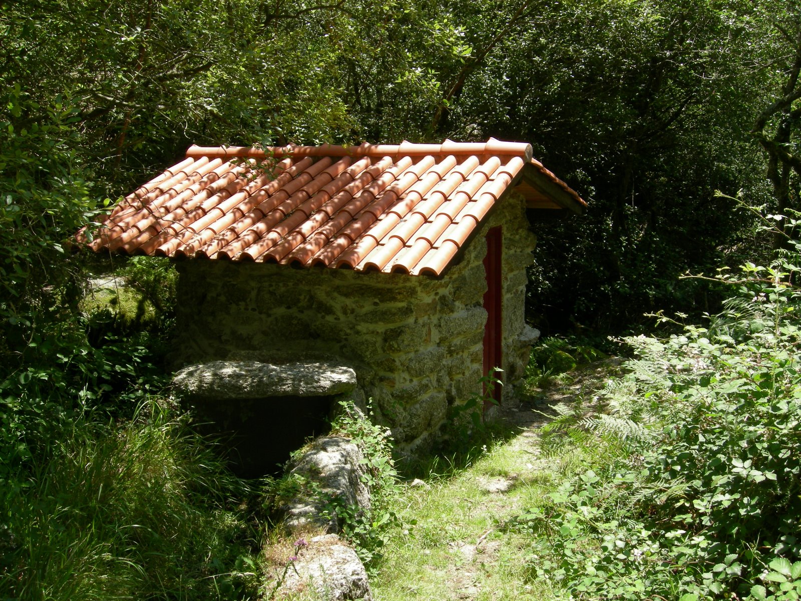 [DSCN0825.JPG]