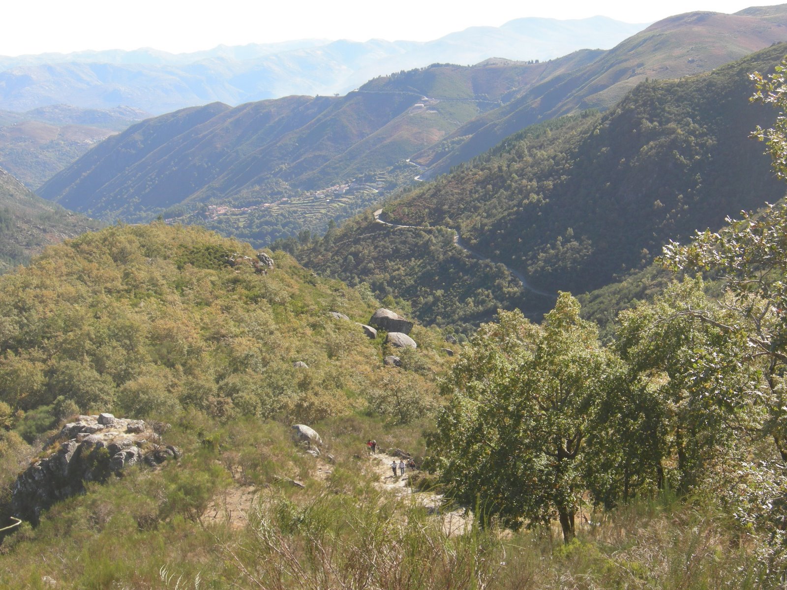 [DSCN1851.JPG]