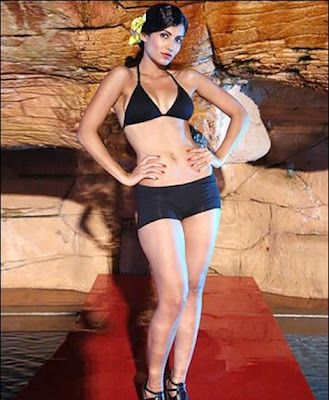 Kingfisher Calendar 2010