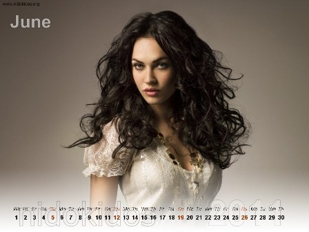 Megan Fox Desktop New Year 2011 Calendar