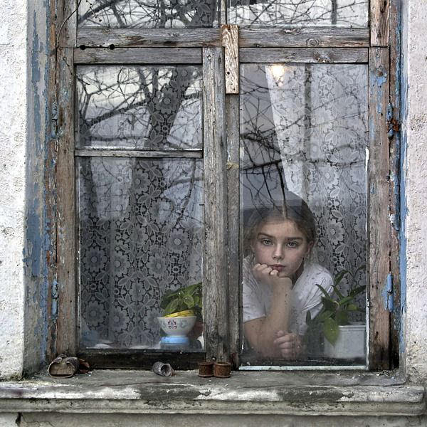 [window.jpg]
