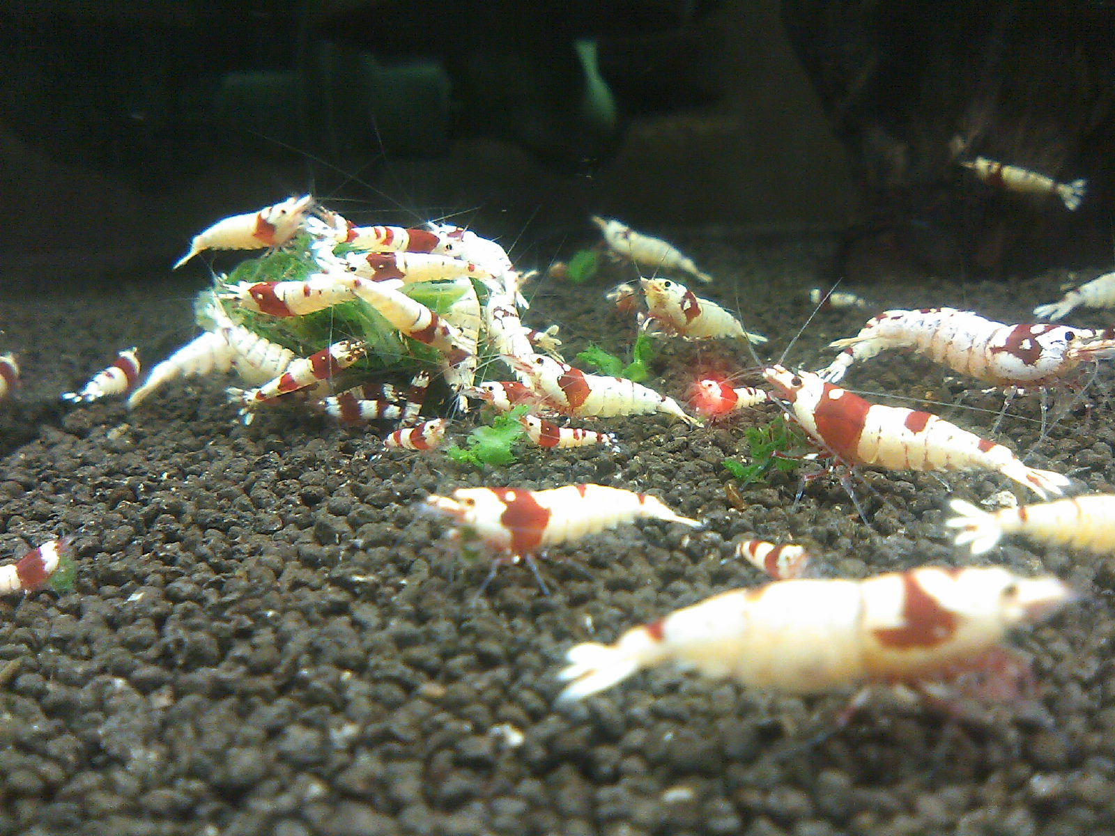 [090506_2344~01.jpg]
