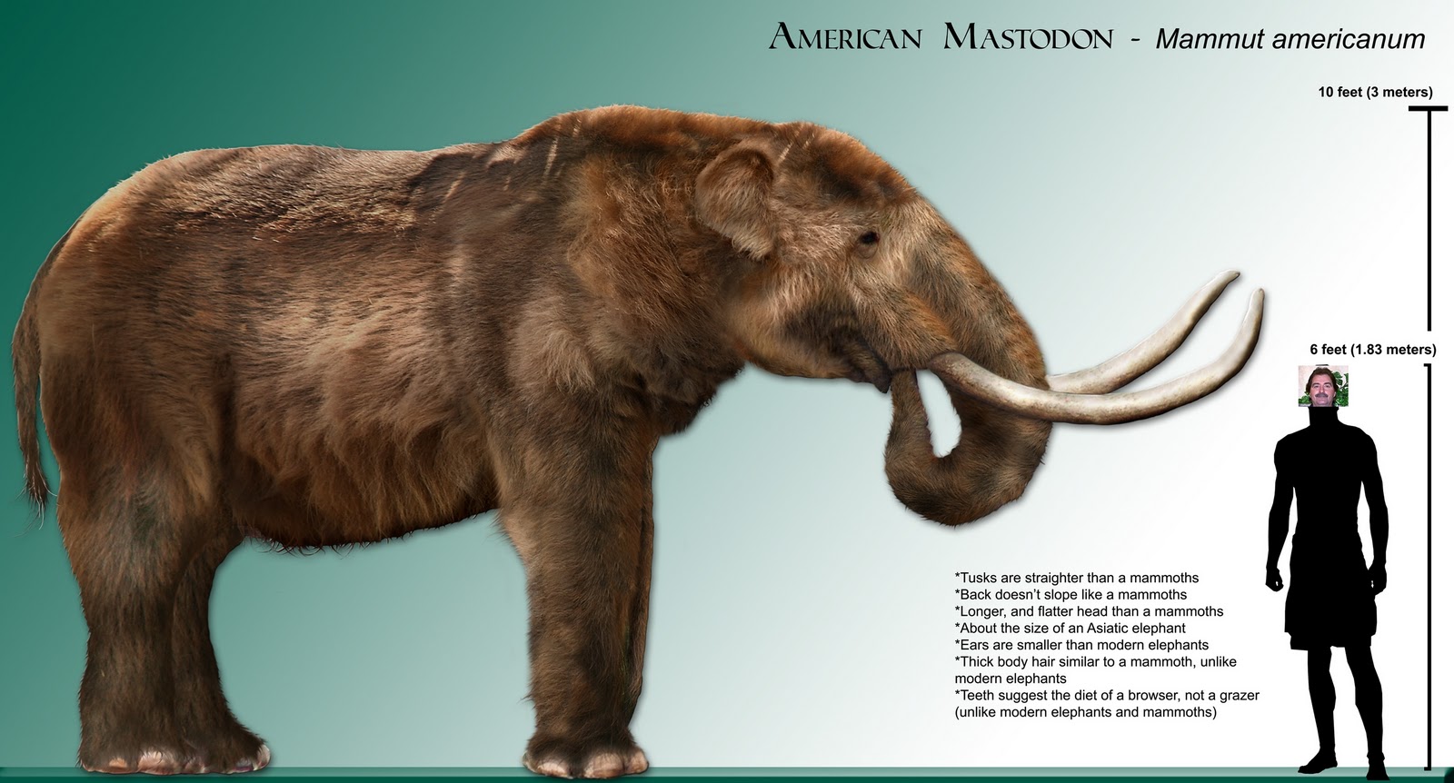http://4.bp.blogspot.com/_8IcO1ehweFs/TP1ULlawsTI/AAAAAAAAFYo/Gm5f74DuzXw/s1600/mastodon_rendering-1.jpg
