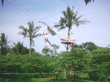 Flying Fox  Tirto Arum Baru