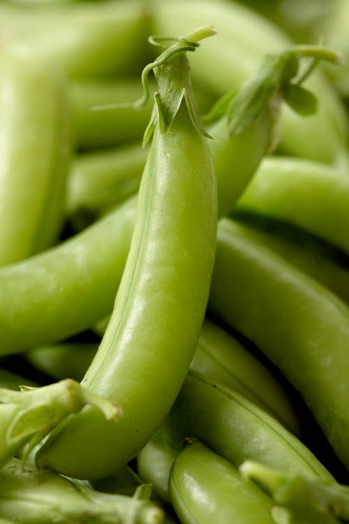 New Kitchen Primer Sugar Snaps Vegetable Candy