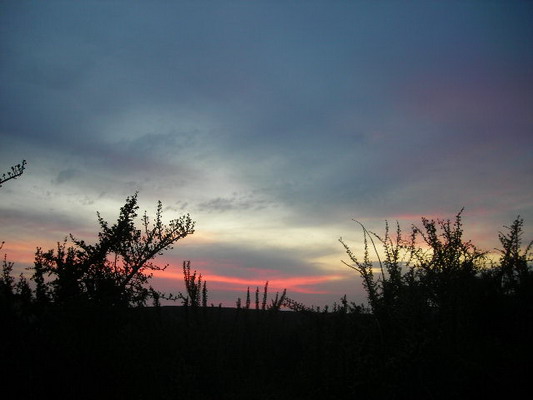 [DSCN4488_resize.JPG]