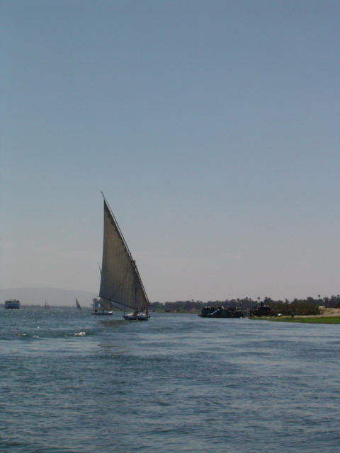[DSC00194.jpg]