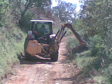 LIMPEZA DE CAMINHOS 26/05/2010