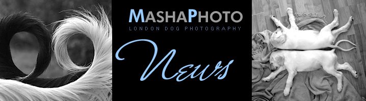 Masha Photo News