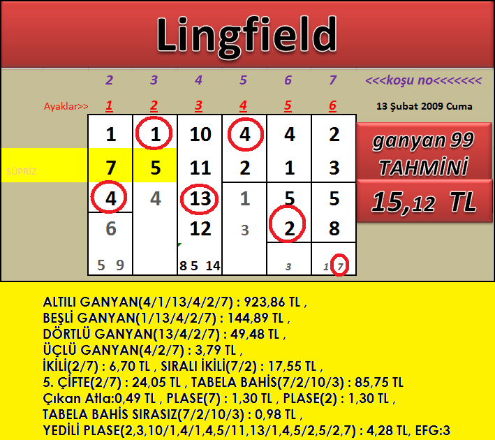 Ganyan99ankarA*****: 13 Şubat 2009 Lingfield (İng) sonuçları.