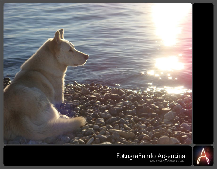 [argentina+fotos+blog1.jpg]