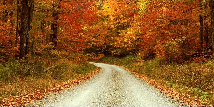 [fallcolors1.jpg]