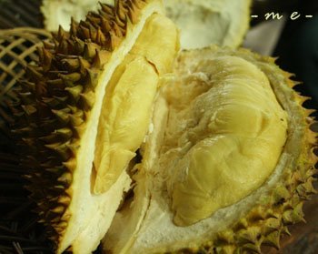 http://4.bp.blogspot.com/_8KV0tq3p-DM/SwTSjcwkoII/AAAAAAAAAAM/AQflUsaUSCY/s1600/durian+montong.jpg