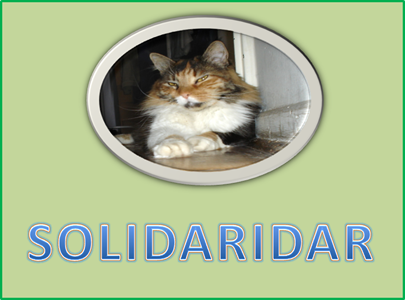 SOLIDARIDAR 1