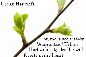 Urban Herbwife