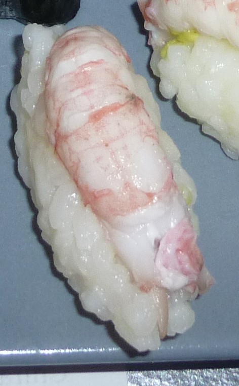 [langoustine.jpg]