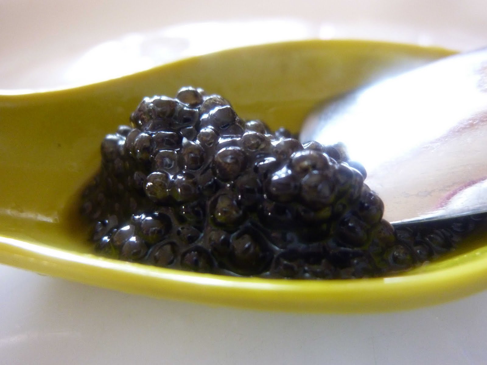 [caviar1.jpg]