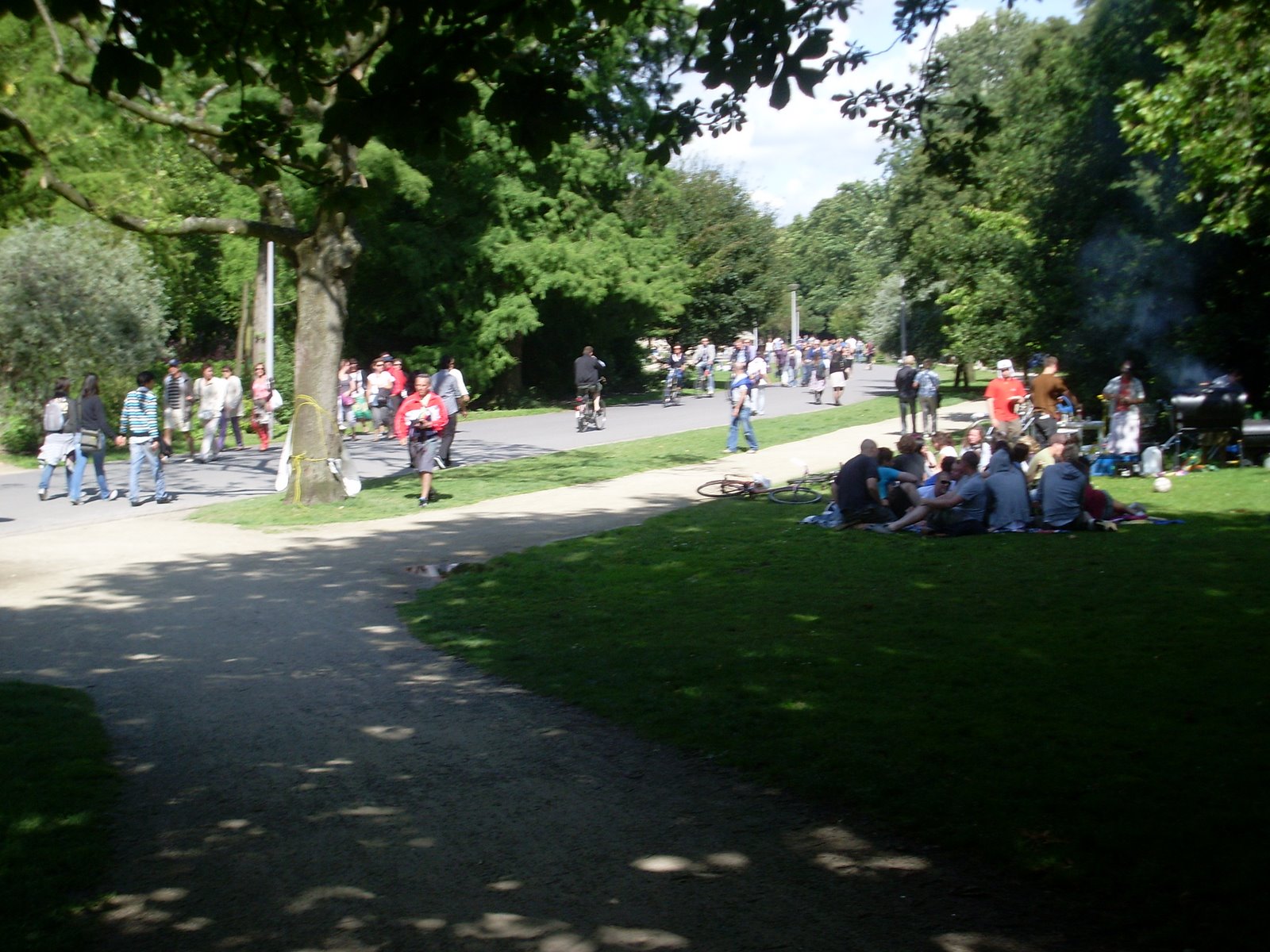 [SL373786.JPG]