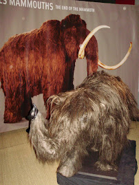 Mammoth Exposition