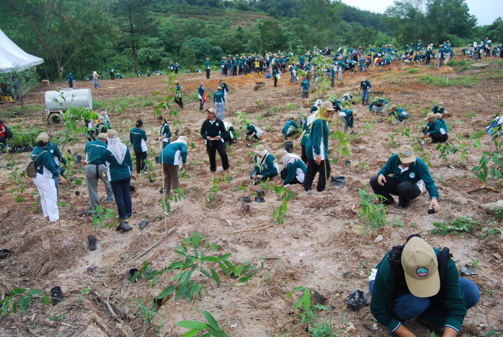 Dr Mat UPMMitsubishi Joint Project Tree Planting