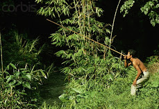 Mansaka Hunter Using Blowgun