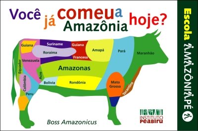 [não+coma+a+amazonia.JPG]
