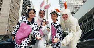 [VACAS_COELHOS.jpg]