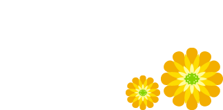 Diário de ANNA :: Um mundo de ideias para um presente perfeito