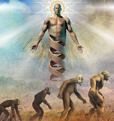 Evolucionismo.jpg (378×400)