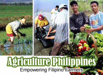 Philippine Farming
