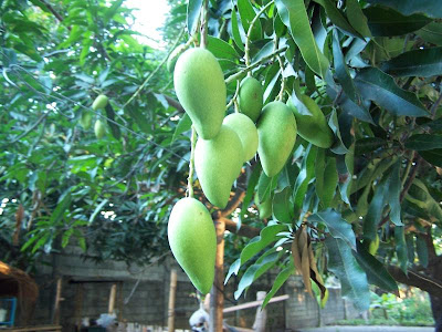 aktuellen I know there is the magos wow you needthe Mangos+wow+commands