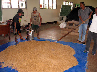 Eastern Samar Nutriplant SL Application