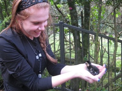 [2008_Duckling.jpg]