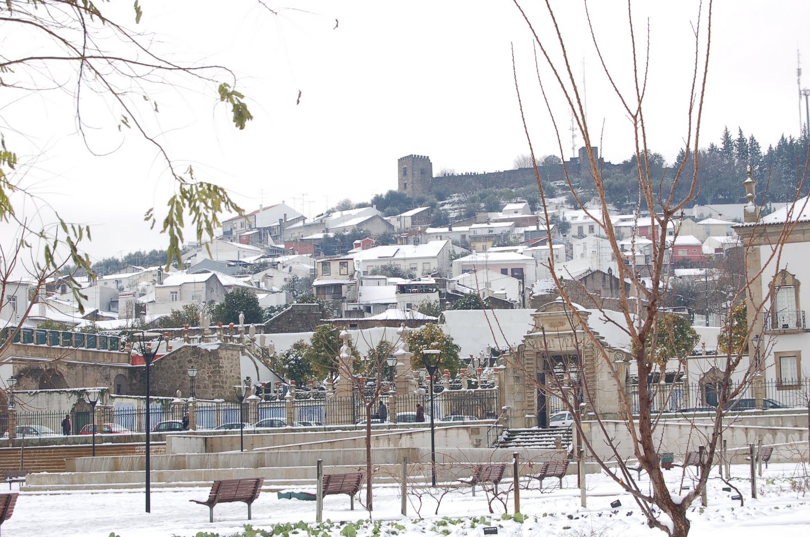 [DSC_6209.JPG]