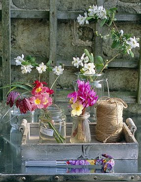 flor1 Decoração de Ambientes com Flores – Fotos e Dicas - 2019 flor1