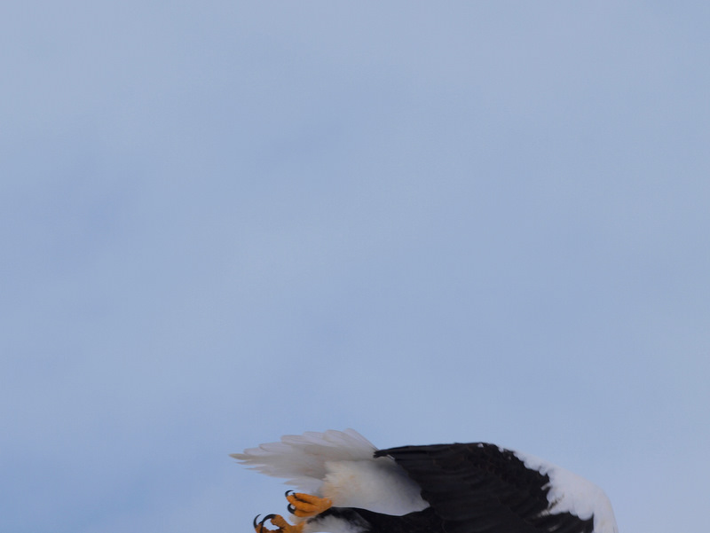 [P1225672.JPG]